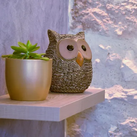 Au Logis Des Chouettes, Proche De Verdun Et Ses Champs De Bataille * Chatillon-sous-les-Cotes